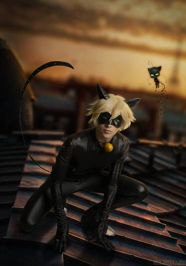Chat Noir (Cosplay) - Miraculous Ladybug by NipahCos on DeviantArt