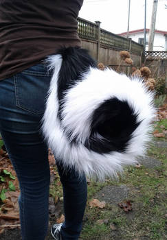 Big Curly Husky Tail