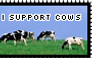 I support cows