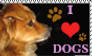 I Love Dogs Stamp