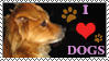 I Love Dogs Stamp