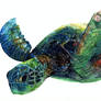 Green Sea Turtle