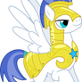 Flying Royal Pegasus Guard