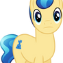 Ivory Stares At You