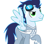 Soarin' of Team Cloudsdale