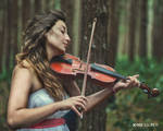 Concert in the forest 2 by DraculaNosferatu Concert in the forest 2 by DraculaNosferatu