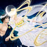 Sailor Moon. Endymion and the goddess of the Moon