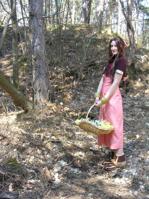 Aerith - Flower Girl