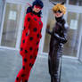 Ladybug and Cat Noir