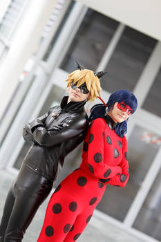 Ladybug - Team