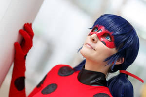 Ladybug - I can do it