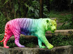 Rainbow Tiger Stroll