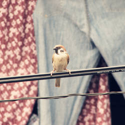 A little birdie told me. . .