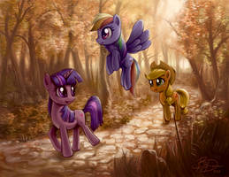 Fall Weather Sightseeing