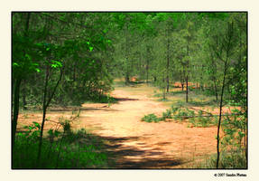 Red Clay Pathway