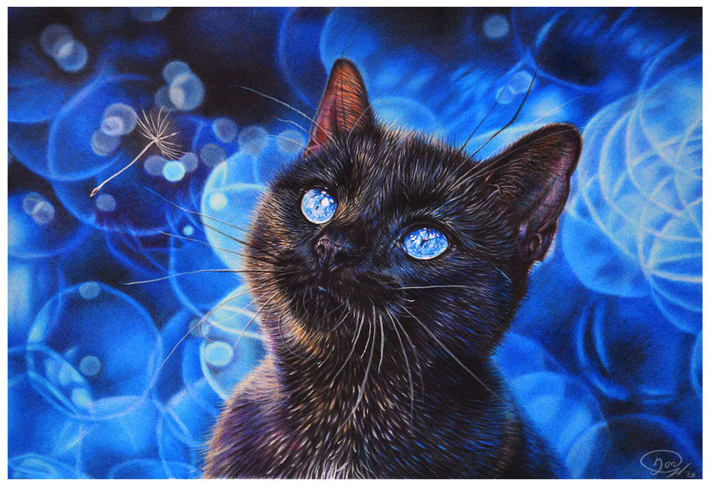 Perfect Blue by mangakasan on DeviantArt