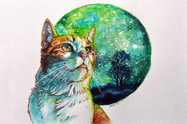 Explore The Best Schminckehoradam Art Deviantart Explore The Best Schminckehoradam Art Deviantart