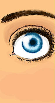 Eye