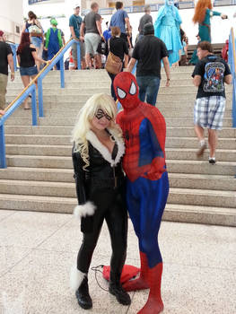 TBCC 2014 - Black Cat and Spider-Man
