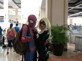 Tampa Bay Comic Con 2014- Spider-Man and Black Cat