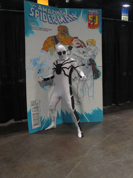 TBCC 2014 - The Spectacular Spider-Man