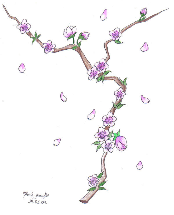 Sakura Digram sakuras by thaisaragao on DeviantArt