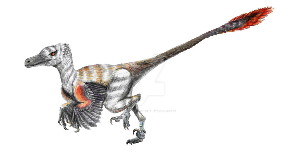 Velociraptor 001 by Marianorocker22 on DeviantArt