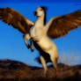 Winged Horse 1