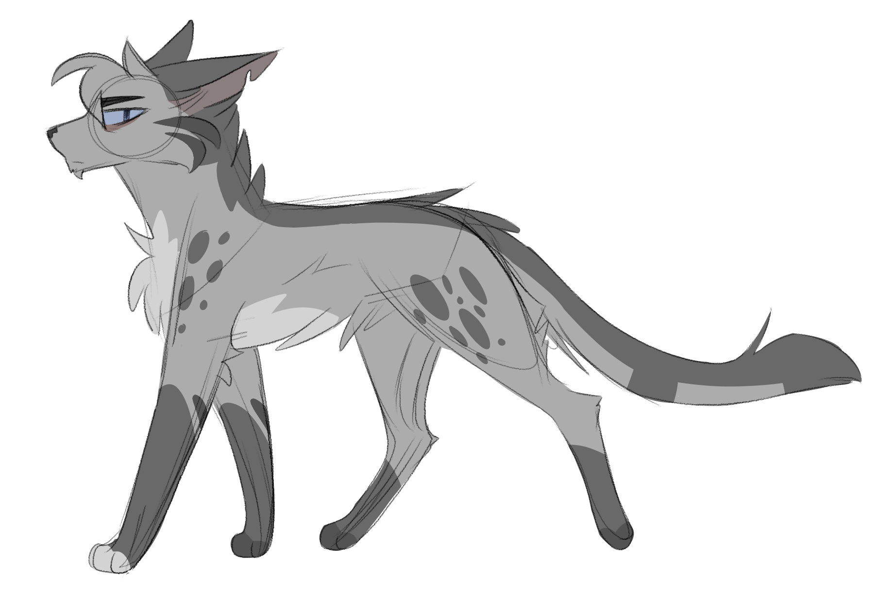 Ashfur Design