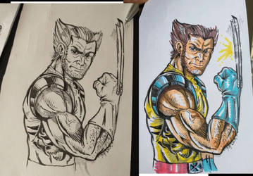 Wolverine inkwork and colored w/ Alcohol Markers
