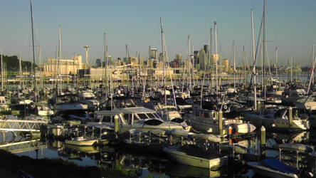 Seattle Skyline Elliot Bay Marina