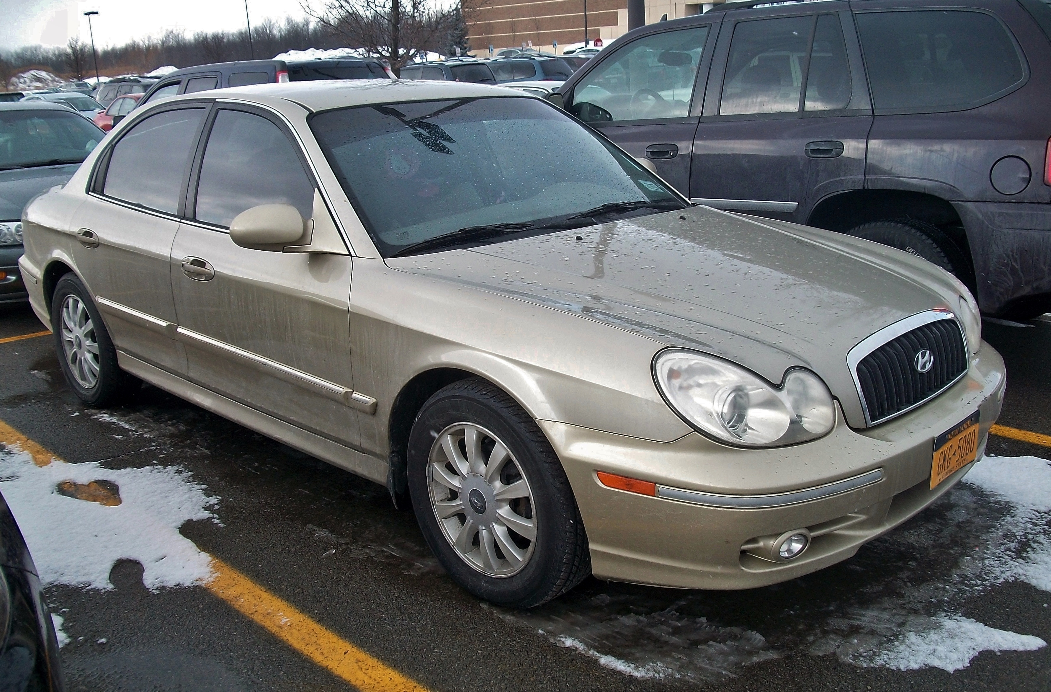 (2002) Hyundai Sonata