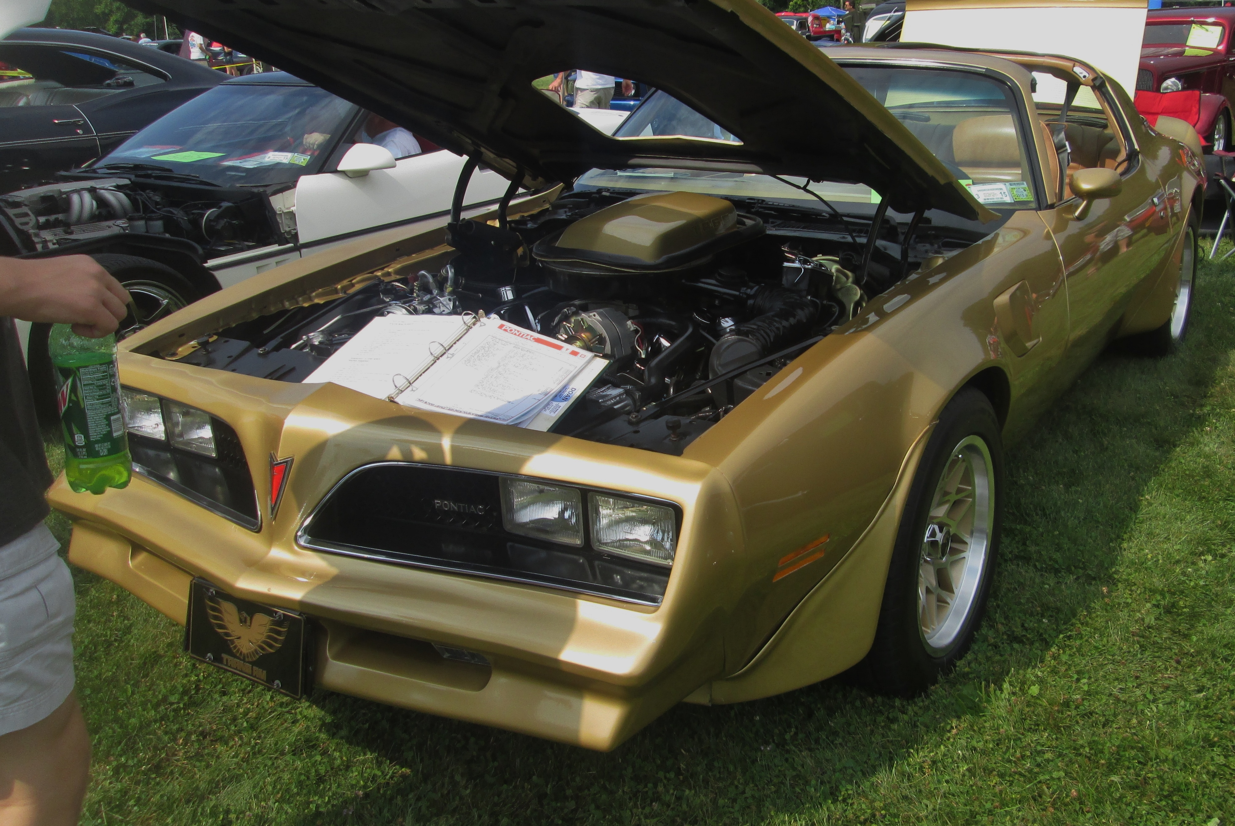 (1978) Pontiac Firebird Trans Am