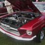 (1965) Ford Mustang