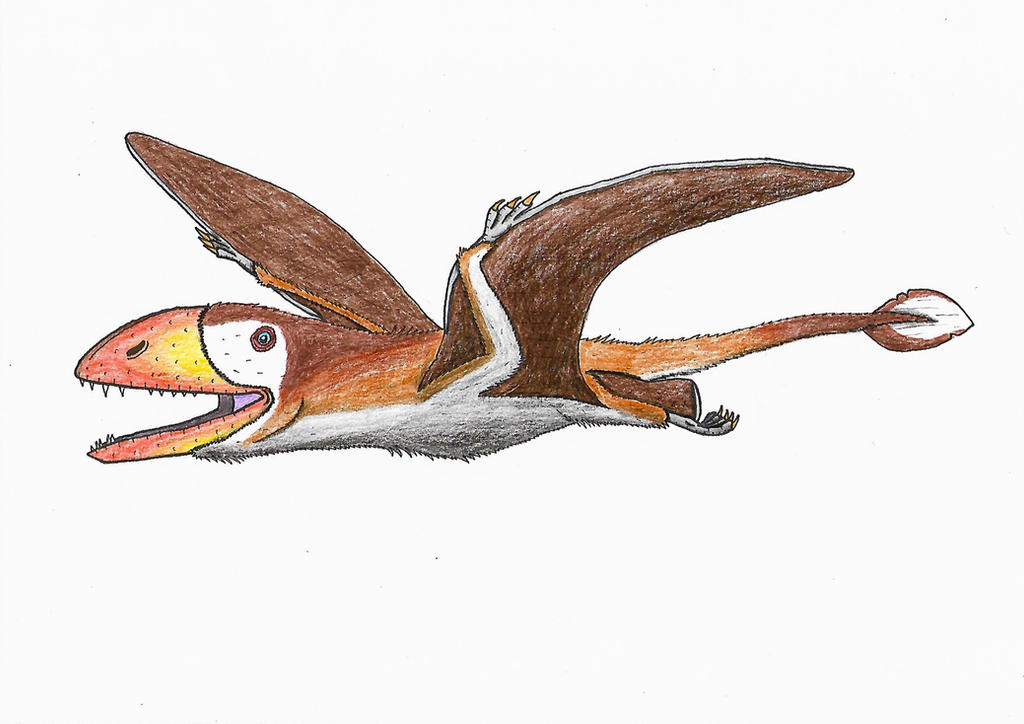 Walking With Dinosaurs II: Dimorphodon by Rahonavis70m on DeviantArt