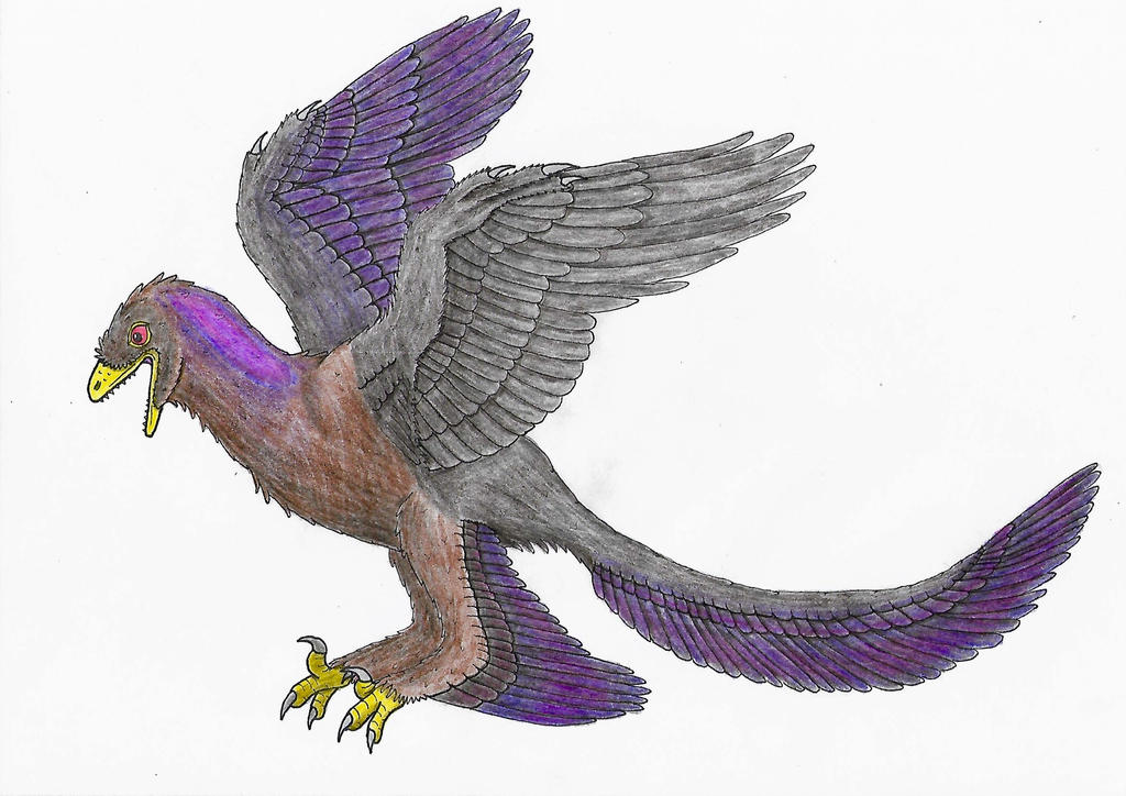 Changyu Raptor Walking With Dinosaurs II: Changyuraptor by Rahonavis70m on DeviantArt