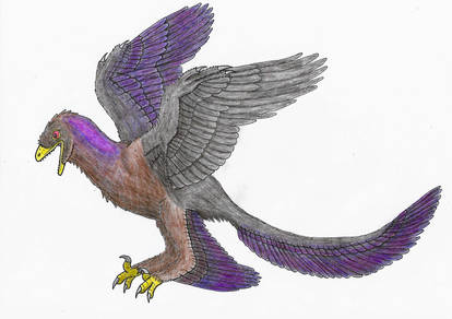 Changu Raptor Explore the Best Changyuraptor Art | DeviantArt