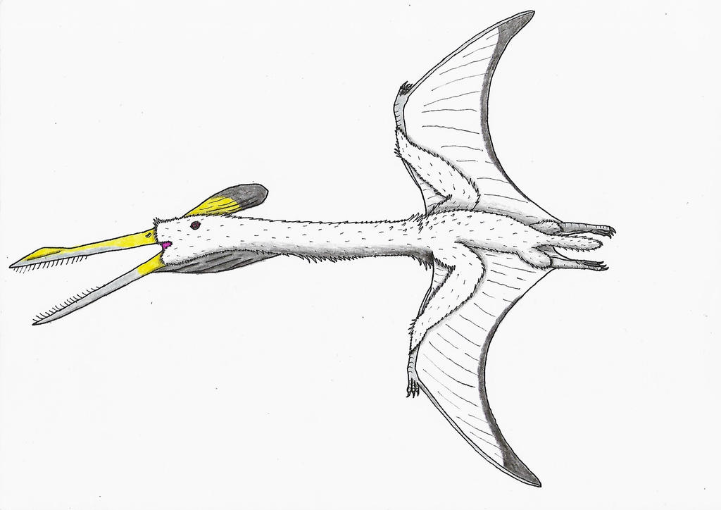 Moganopterus Walking With Dinosaurs II: Moganopterus by Rahonavis70m on DeviantArt