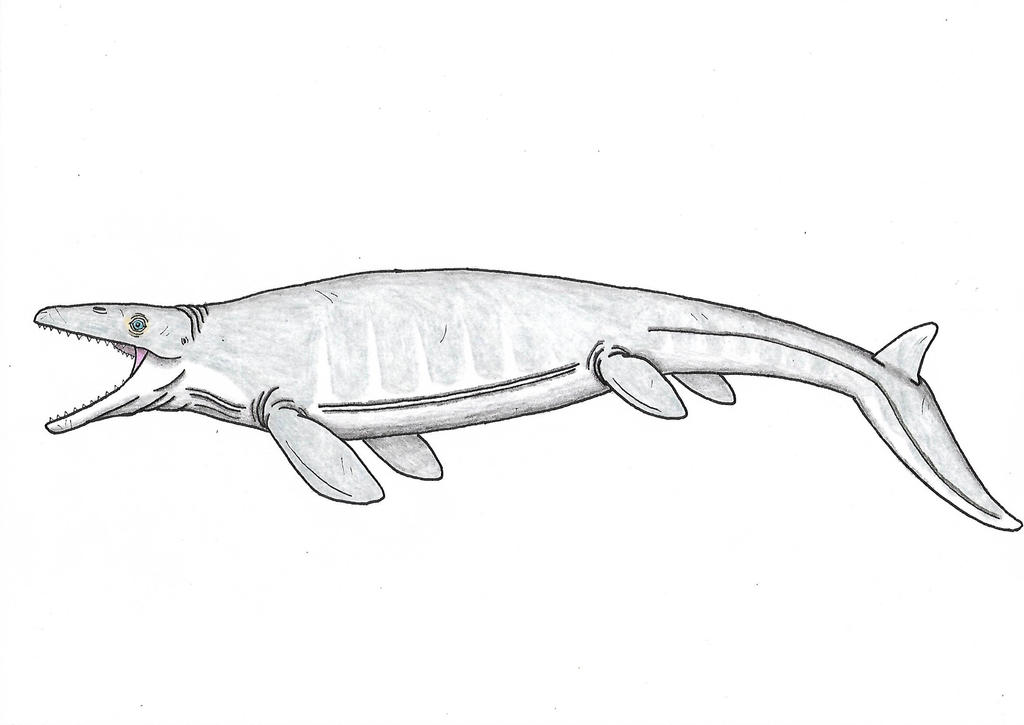 Walking With Dinosaurs II: Mosasaurus by Rahonavis70m on DeviantArt