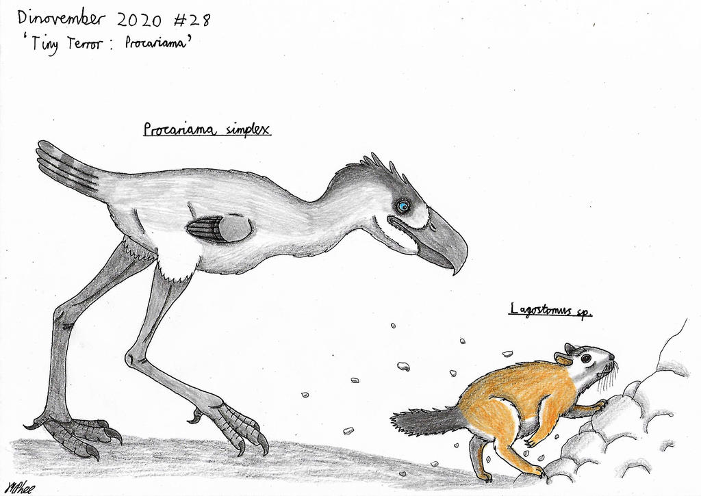 Procariama Simplex Dinovember 2020 #28 - Tiny terror: Procariama by Rahonavis70m on DeviantArt