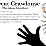 Great Crawlouse (Atlantis Bestiary)