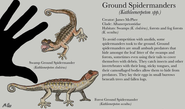 Ground Spidermanders (Atlantis Bestiary III)