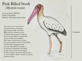 Pink Billed Stork (Atlantis Bestiary III)