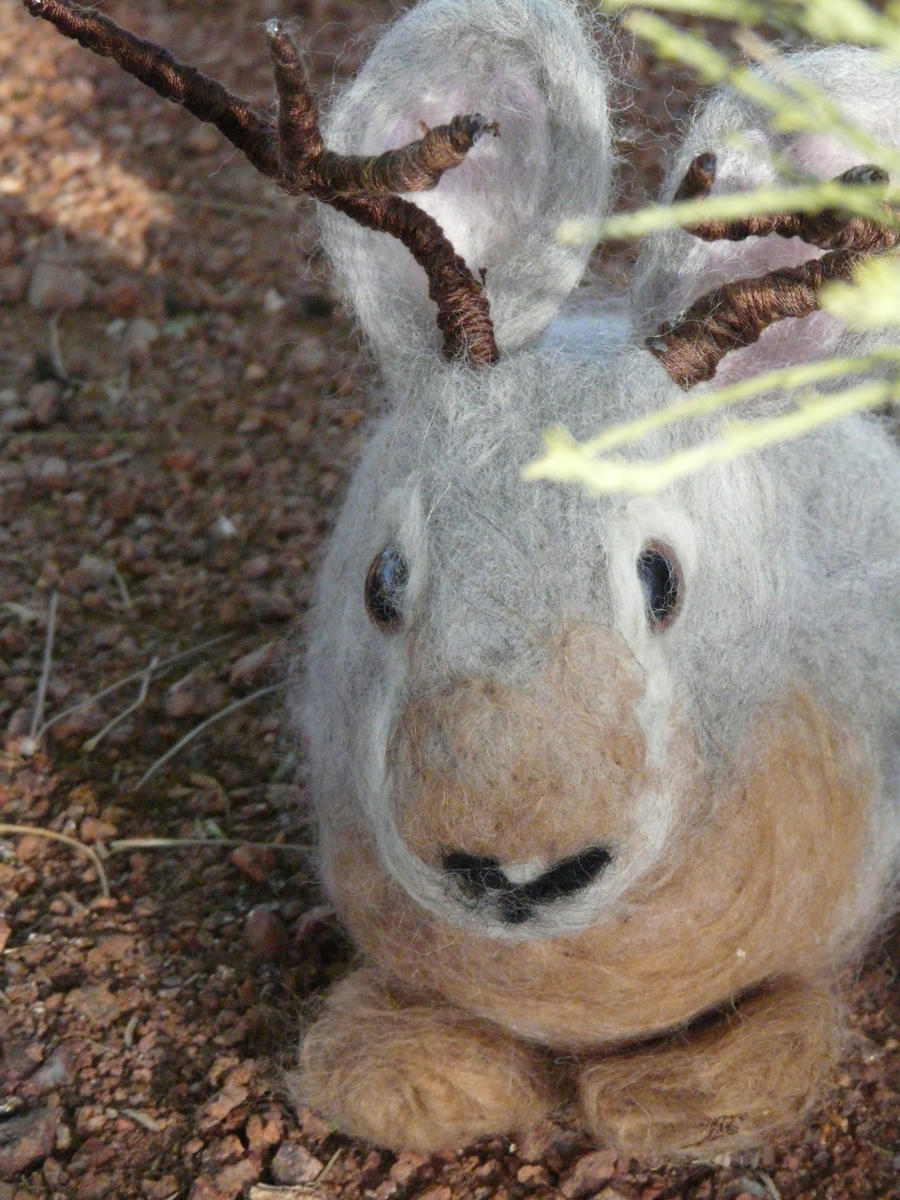 Needle felted Jackalope