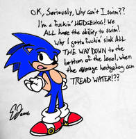 Sonic's Burning Question...