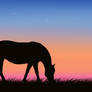 Horse out at Sunset