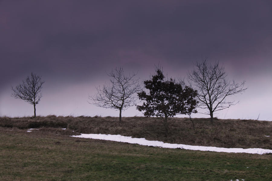 Four Trees