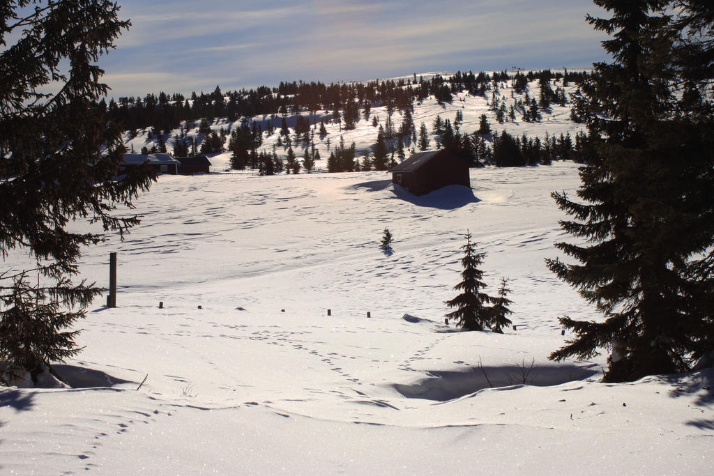 Fjell Hut