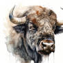 Buffalo Animal Portrait Watercolor Painting