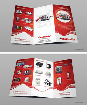 Butterfly India Trifold Brochure